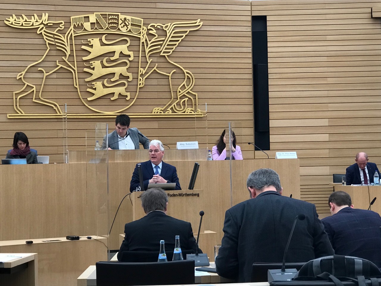 Mann im Landtag Mann im Landtag