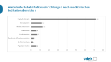 Ambulante Rehabilitationseinrichtungen nach medizinischen Indikationsbereichen