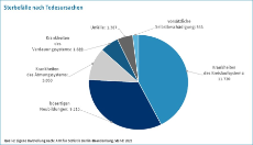 Sterbefälle_Todefälle Basisdaten Berlin