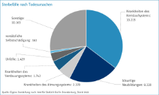 Sterbefälle nach Todesursachen