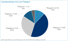 Leistungsempfänger:innen nach Pflegegrad