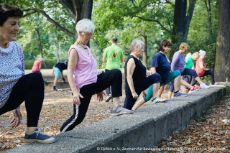 Sieben ältere Frauen winkeln Knie an; Sport