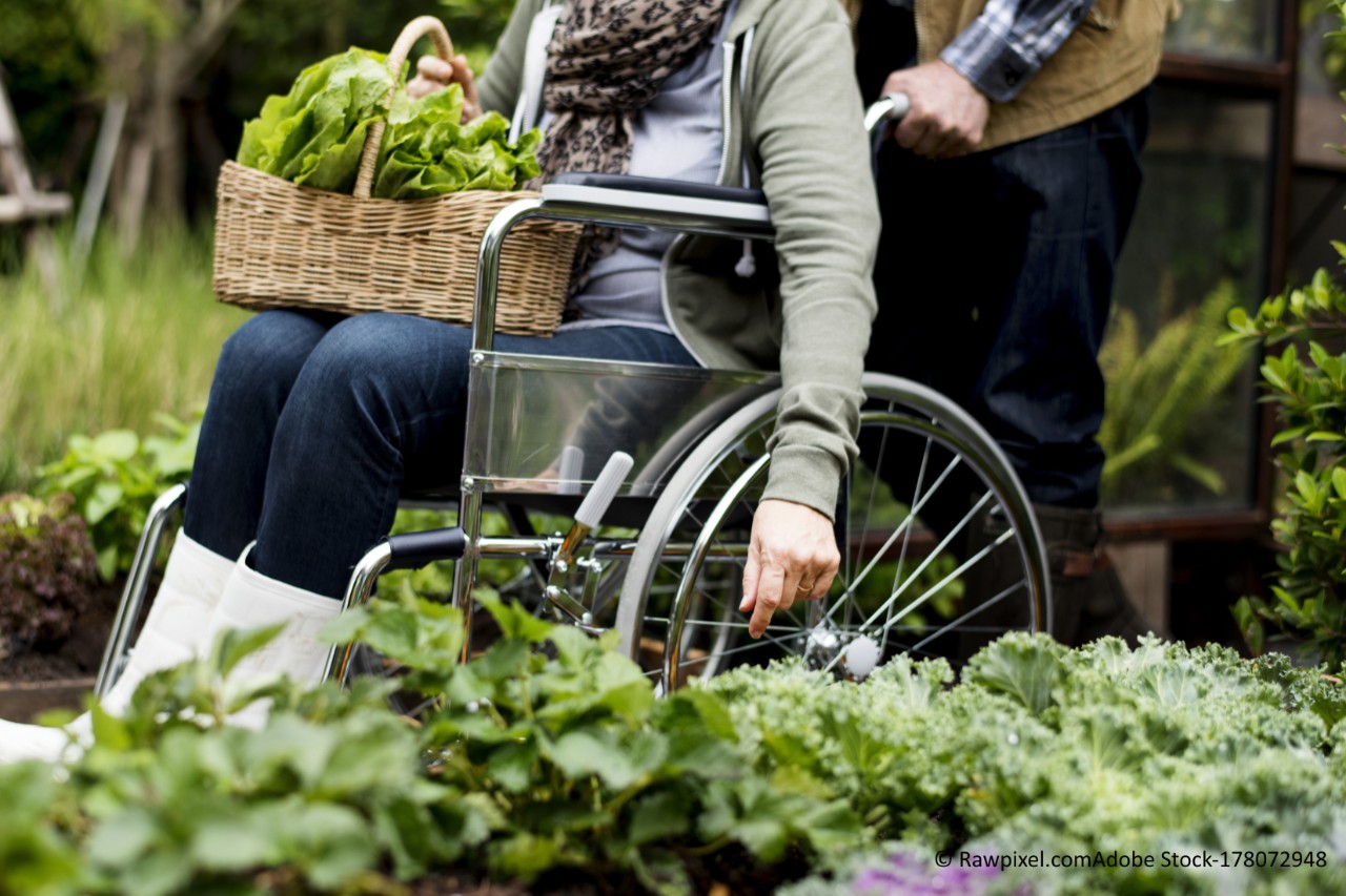 Person im Rollstuhl wird im Garten geschoben; auf den Schoß ist ein Korb mit Salat