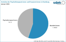 Kreisdiagramm, Arztsitze der Psychotherapeut:innen und Hausärzt:innen in Hamburg, Januar 2023