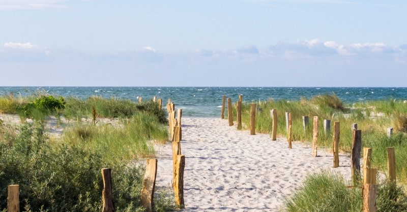 Weg zum Strand_luiwhrAdobe Stock Weg zum Strand_luiwhrAdobe Stock