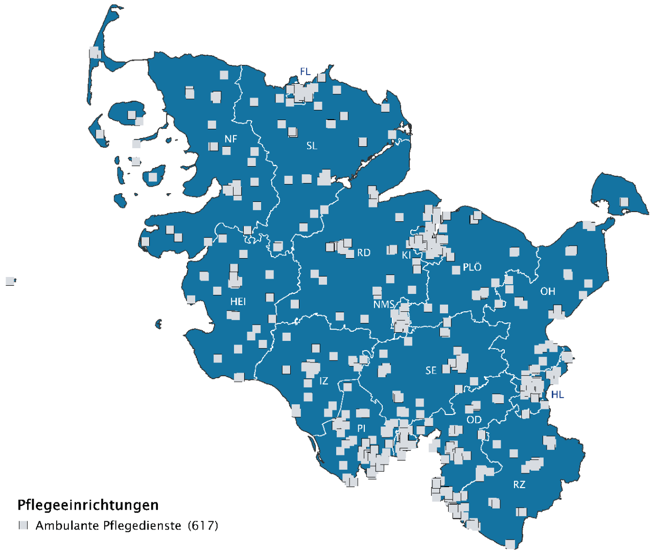 SHS-Pflege-2024-ambulante-Pflegedienste SHS-Pflege-2024-ambulante-Pflegedienste
