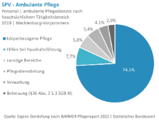 Personal-ambulante-Pflegedienste-nach-hauptsaechlichem-Taetigkeitsbereich-MV