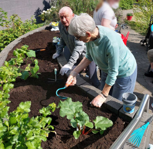 vdek NRW_Prävention_Unsere kleine Farm_Garten_1