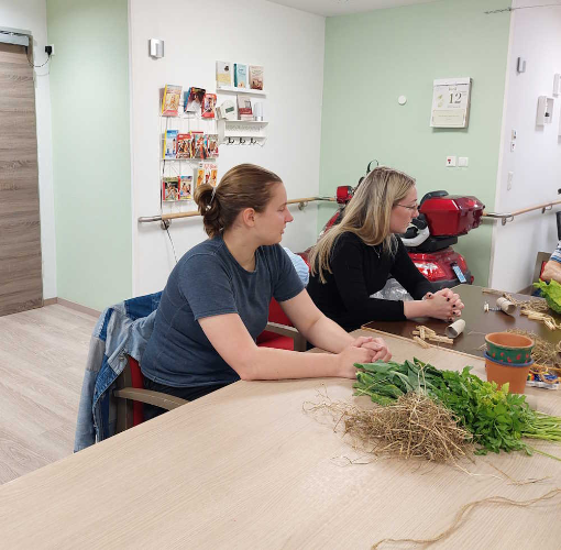 vdek-NRW-Prävention-kleine-farm-Hospitation-Juni-2024-01
