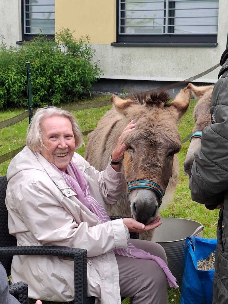 &Auml;ltere Dame, die sitzend einen Esel f&uuml;ttert
