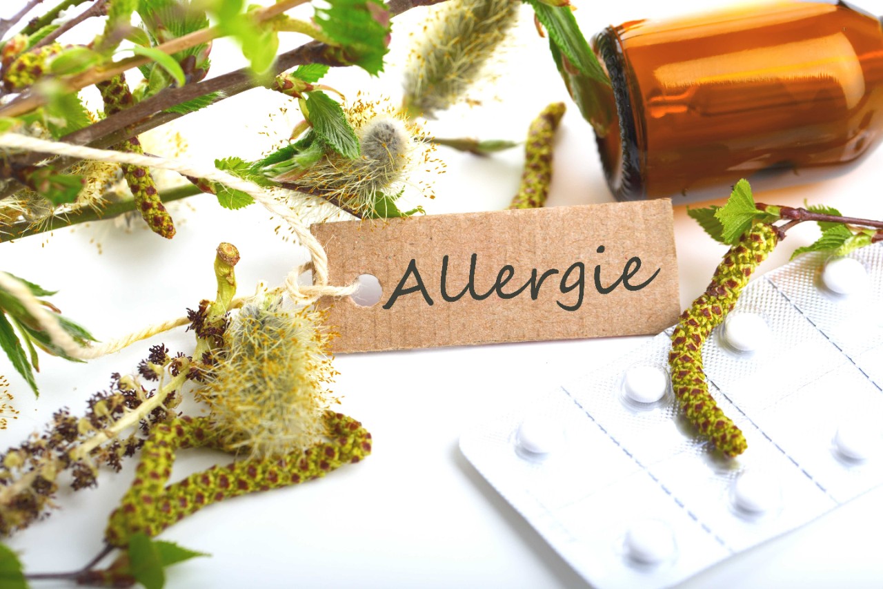 Pflanzen und Tabletten sowie ein Schild Allergie