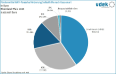 LV RP Basisdaten 2023 - Förderung der Selbsthilfe nach Kassenart