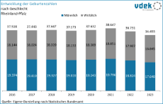 vdek Basisdaten Rheinland-Pfalz 2024 - Entwicklung Geburten
