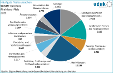vdek Basisdaten Rheinland-Pfalz 2024 - Haeufigste Todesursachen