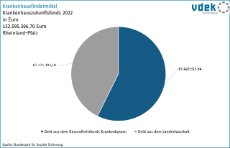 vdek Basisdaten Rheinland-Pfalz 2024 - Krankenhausfoerdermittel Zukunftsfonds