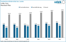 vdek Basisdaten Rheinland-Pfalz 2024 - Krankenhausfoerdermittel des Landes