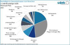 vdek Basisdaten Rheinland-Pfalz 2025 - Beschaeftigte im Gesundheitswesen nach Bereichen