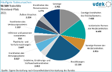 vdek Basisdaten Rheinland-Pfalz 2025 - Haeufigste Todesursachen