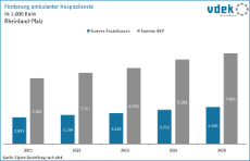 vdek Basisdaten Rheinland-Pfalz 2025 - Förderung ambulanter Hospizdienste RLP