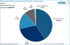 vdek Basisdaten Rheinland-Pfalz 2025 - Foerdermittel nach Kassenart