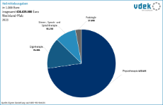 vdek Basisdaten Rheinland-Pfalz 2025 - Heilmittelausgaben RLP