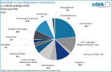 vdek Basisdaten Rheinland-Pfalz 2026 - Beschäftigte im Gesundheitswesen nach Bereichen