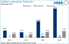 vdek Basisdaten Rheinland-Pfalz 2026 - Häufigkeit ausgewählte Krankheiten