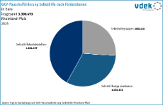vdek Basisdaten Rheinland-Pfalz 2026 - Selbsthilfefoerderung nach Foerderebenen