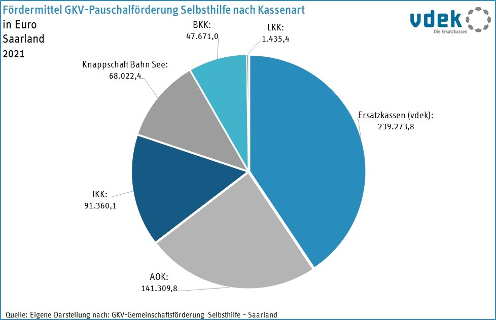 SAA Basisdaten 2022 - Selbsthilfefoerderung nach Kassenarten