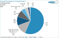 SAA Basisdaten 2022 Gesundheitsausgaben nach Ausgabentraegern
