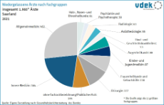 LV SAA Basisdaten 2023 - Niedergelassene Aerzte nach Fachgruppen