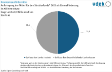 vdek-Basisdaten Saarland 2024 - Krankenhausfördermittel