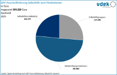 vdek-Basisdaten Saarland 2024 - GKV-Pauschalfoerderung nach Foerderebenen vdek-Basisdaten Saarland 2024 - GKV-Pauschalfoerderung nach Foerderebenen