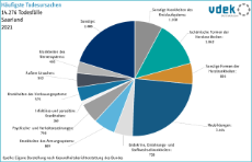 vdek Basisdaten Saarland 2025 - Haeufigste Todesursachen