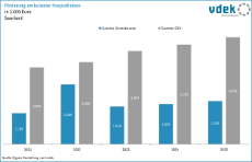 vdek-Basisdaten Saarland 2025 - Foerderung ambulanter Hospizdienste