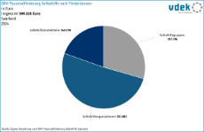 vdek-Basisdaten Saarland 2025 - GKV-Pauschalfoerderung Selbsthilfe nach Foerderebenen