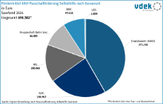 vdek-Basisdaten Saarland 2025 - Foerdermittel Selbsthilfe nach Kassenarten