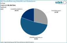 vdek-Basisdaten Saarland 2026 - 