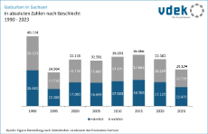vdek Basisdaten LVSAC Sachsen Geburten Geschlecht