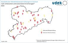 vdek-Basisdaten LVSAC Sachsen Reha Rehabilitation Rehabilitationseinrichtungen ambulant stationär