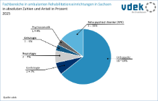 vdek-Basisdaten LVSAC Sachsen Reha Rehabilitation Rehabilitationseinrichtungen ambulant Fachbereich