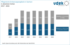 vdek-Basisdaten LVSAC Sachsen pflegerische Entlastungsangebote