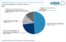 vdek-Basisdaten LVSAC Sachsen Pflegebedürftige Versorgungsart Leistungsart