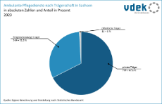 vdek-Basisdaten LVSAC Sachsen ambulante Pflegedienste Trägerschaft