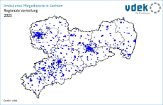 vdek-Basisdaten LVSAC Sachsen ambulante Pflegedienste Standort regionale Verteilung