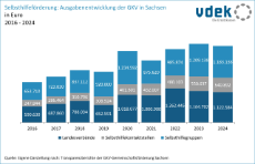 vdek-Basisdaten LVSAC Sachsen Selbsthilfe Selbsthilfeförderung Ausgaben GKV