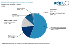 vdek-Basisdaten LVSAC Sachsen Heilmittel Leistungserbringer