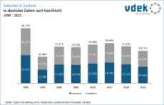 Basisdaten Bevölkerung Sachsen Geburten Geburtenrate Entwicklung