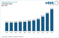Basisdaten Sachsen Anzahl Pflegebedürftige