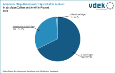 Basisdaten Sachsen Pflegedienste Anzahl Trägerschaft
